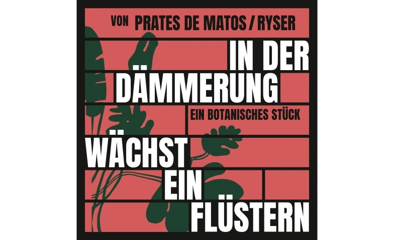 In der D&auml;mmerung w&auml;chst ein Fl&uuml;stern Botanischer Garten, Stephanshornstrasse 4, 9016 St. Gallen Tickets