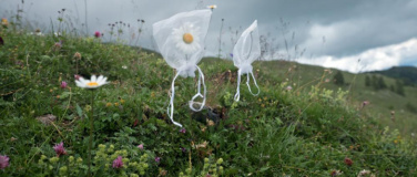 Event-Image for 'Unter Pflanzen / Regiegespräch mit Antshi von Moos'