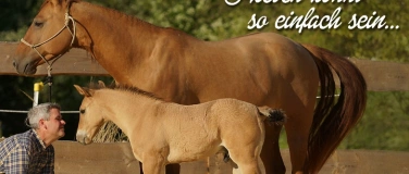 Event-Image for 'Bernd Hackl On Stage Comedy "S' Leben könnt so einfach sein"'