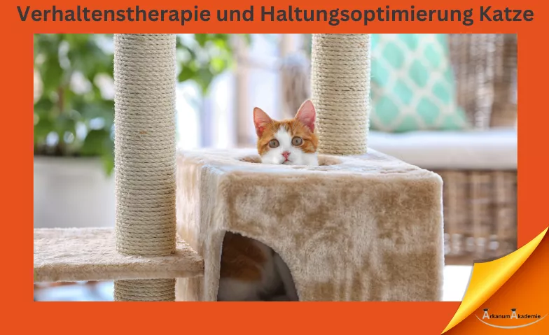 Verhaltenstherapie und Haltungsoptimierung Katze ArkanumAkademie, Oberrindal 39, 9604 Oberrindal Tickets