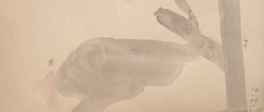 Event-Image for 'Ausstellung Marcel Peltier &laquo;Kopf hoch&raquo;'