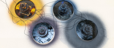 Event-Image for 'Vernissage - Ca&shy;li&shy;ne Aoun'