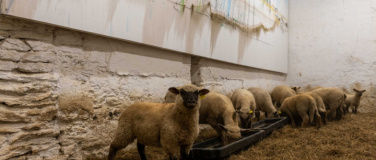 Event-Image for 'Vernissage &laquo;Fabrice Hyber &ndash; Homme de Terre&raquo;'