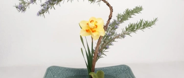 Event-Image for 'Entspannung mit japanischem Ikebana'