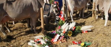 Event-Image for 'Viehschau und Bauernchilbi in Eschenbach'