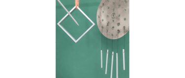 Event-Image for 'Virginia Overton  Flash Mob'