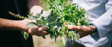 Event-Image for 'Visites gourmandes : Visite-cueillette'