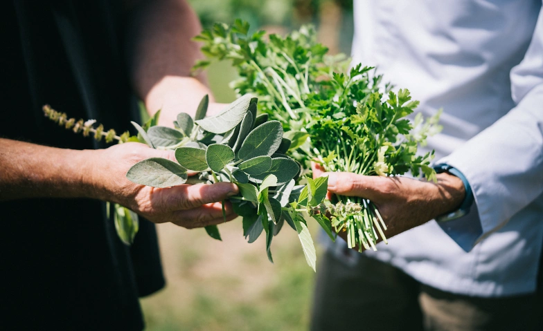 Event-Image for 'Visites gourmandes : Visite-cueillette'