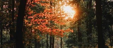 Event-Image for 'Herbstwaldbaden - Mabon: Das Erntedankfest des Jahreskreises'