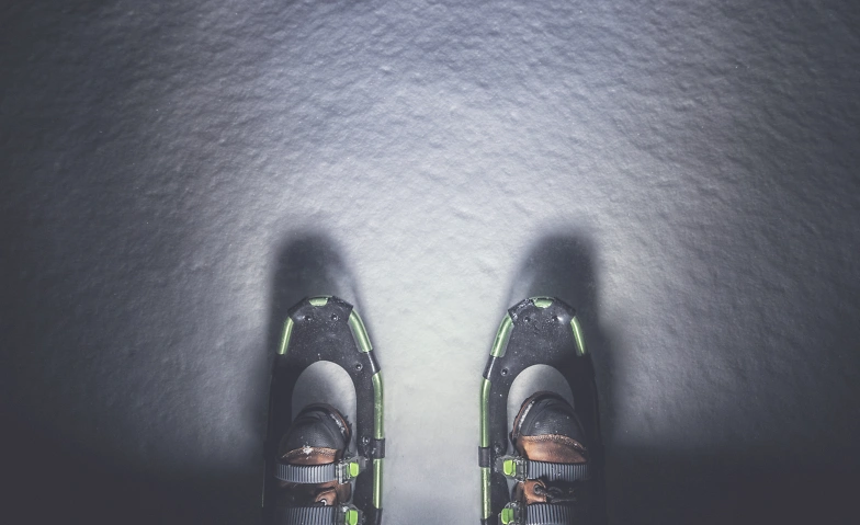 Vollmond-Schneeschuh-Tour Tickets