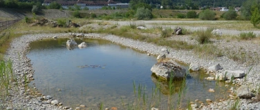 Event-Image for 'Vortrag &laquo;Mediterrane Arten erobern Olten S&uuml;dWest&raquo;'