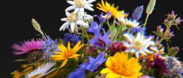 Event-Image for 'Vrenelis Gärtli'