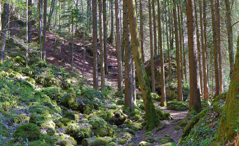 Event-Image for 'Abendroutine bei Tieren'