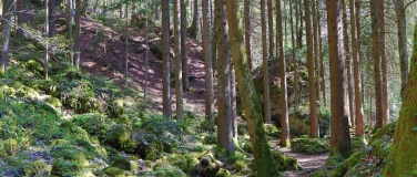 Event-Image for 'Abendroutine bei Tieren'