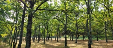 Event-Image for 'Pro Senectute: Auftanken in der Natur Subingen'