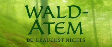 Event-Image for 'Zwischen Blatt und Licht: Ein Wochenend-Retreat'
