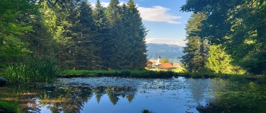 Event-Image for 'Kneipp-Woche: Wald, Wasser und mehr'