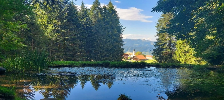 Kneipp-Woche: Wald, Wasser und mehr Refugio Heiligkreuz, Heiligkreuz 1, 6166 Hasle Tickets