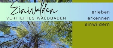 Event-Image for 'Einwalden - vertieftes Waldbaden'