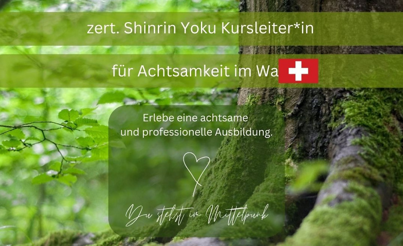 Event-Image for 'Werde Shinrin Yoku Kursleiter:in für Achtsamkeit im Wald'