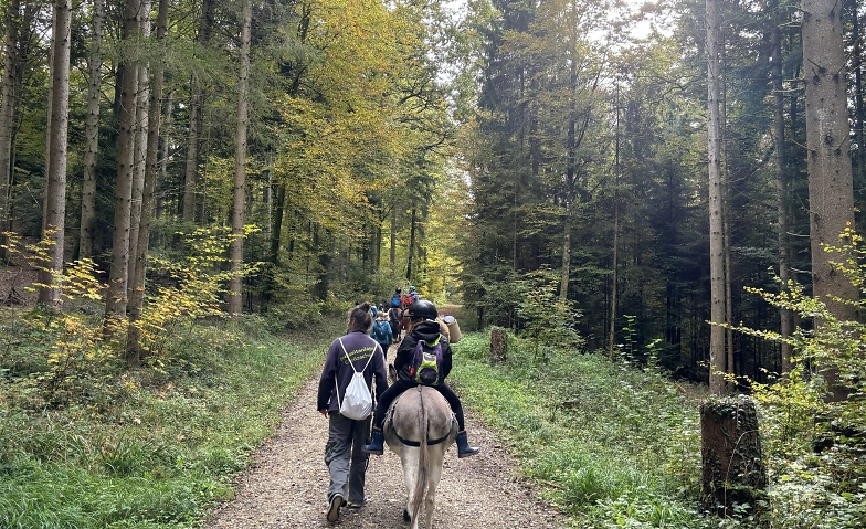 Tierischer Waldspaziergang Billets