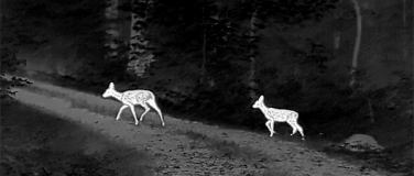 Event-Image for 'N&auml;chtliche Wildnis &ndash; Abendwanderung mit W&auml;rmebildkamera'