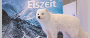 Event-Image for 'Warmzeit &ndash; Finissage am Internationalen Museumstag'