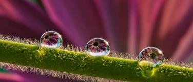 Event-Image for '"Achtsam Stress bewältigen" - MBSR 8-Wochenkurs'