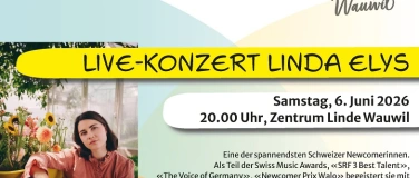 Event-Image for 'Linda Elys Konzert'