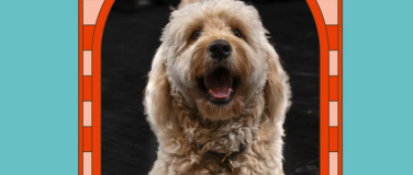 Event-Image for 'Wau Wow'