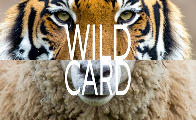 Event-Image for 'Wild Card'