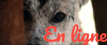 Event-Image for 'Stress, violences, isolement : quel impact sur nos chiens...'