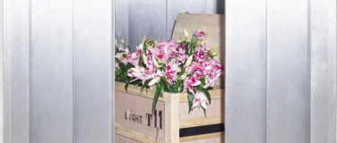 Event-Image for 'Ivanov'