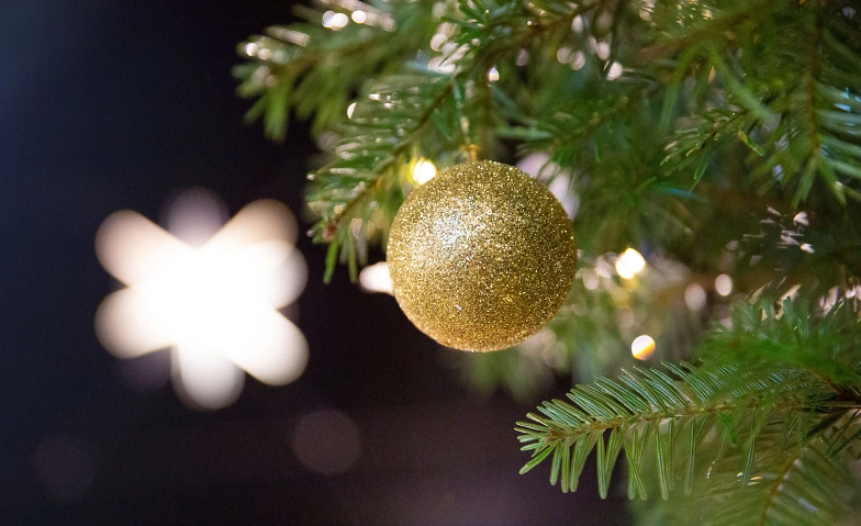 Klausmarkt Altstätten Altstadt, Marktgasse 1, 9450 Altstätten Billets