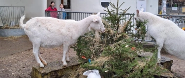 Event-Image for 'Weihnachtszauber im Stall'