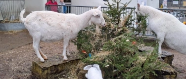 Event-Image for 'Weihnachtszauber im Stall'