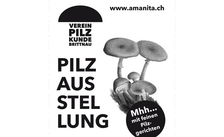 Event-Image for 'Pilzausstellung des Vereins Pilzkunde Brittnau'