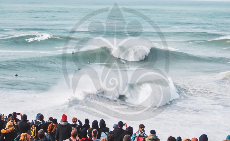 Event-Image for 'WHANAU Experience (ca. 1 Stunde)'