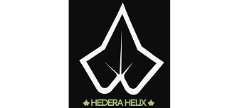 Event organiser of Hedera Helix- Night of Fashion