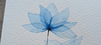 Event organiser of Explore with watercolour