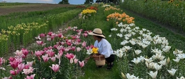 Event-Image for 'Field Affair'