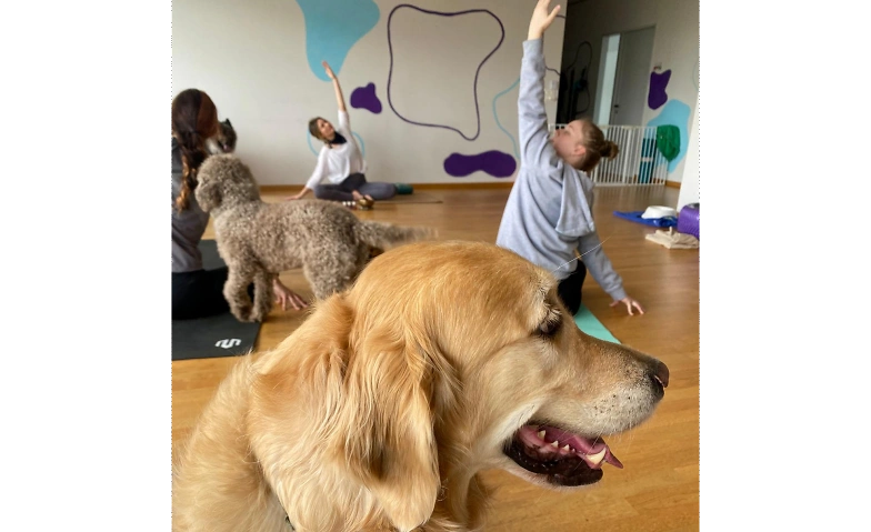 Event-Image for 'Hunde - Yoga'