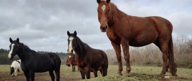 Event-Image for 'Vortrag zur Tiergesundheit'