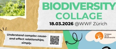 Event-Image for 'Biodiversity Collage'