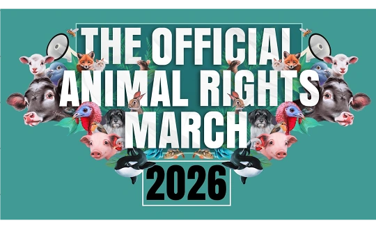Sponsoring-Logo von Kick-Off Brunch Animal Rights March 2026 Event