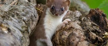 Event-Image for 'Natur verbindet: Mitanpancken auf dem Lebenshof Wendy Welt'