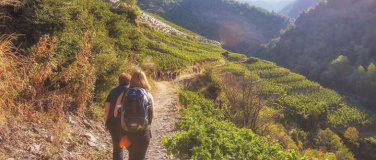 Event-Image for 'Wii-Grill F&auml;scht 2026'