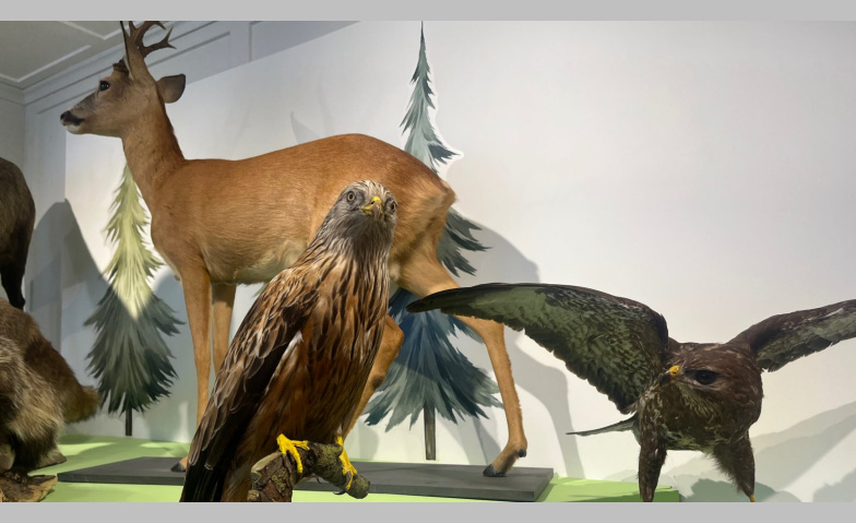 Event-Image for 'Wild.Wald.Wir - Sonderausstellung'