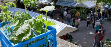 Event-Image for 'ProSpecieRara-Setzlingsmarkt'