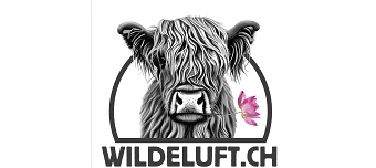 Organisateur de PubQuiz